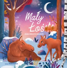 Maly-Los-okladka-9788362238828 380.jpg