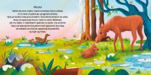 maly-los- 380.jpg