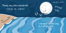 Otul mnie wnetrze 1